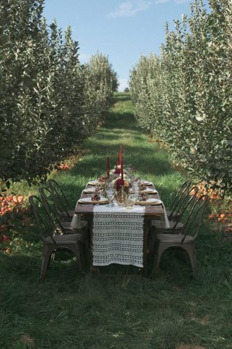 Wilson's Apple Orchard Wedding