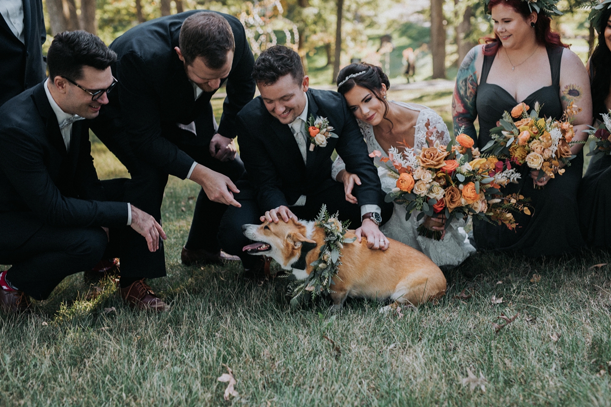 corgi wearing flower collar and bow tie with wedding party