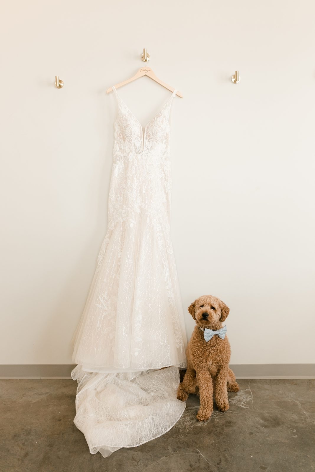 Cedar Rapids Iowa Blush Pink Harmac Wedding dog standing next to wedding dress with bowtie