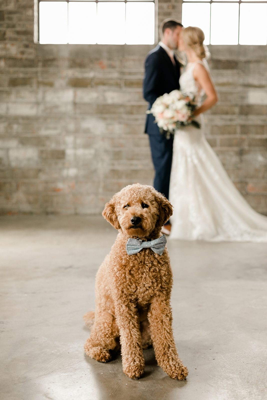 Cedar Rapids Iowa Blush Pink Harmac Wedding dog with bride and groom