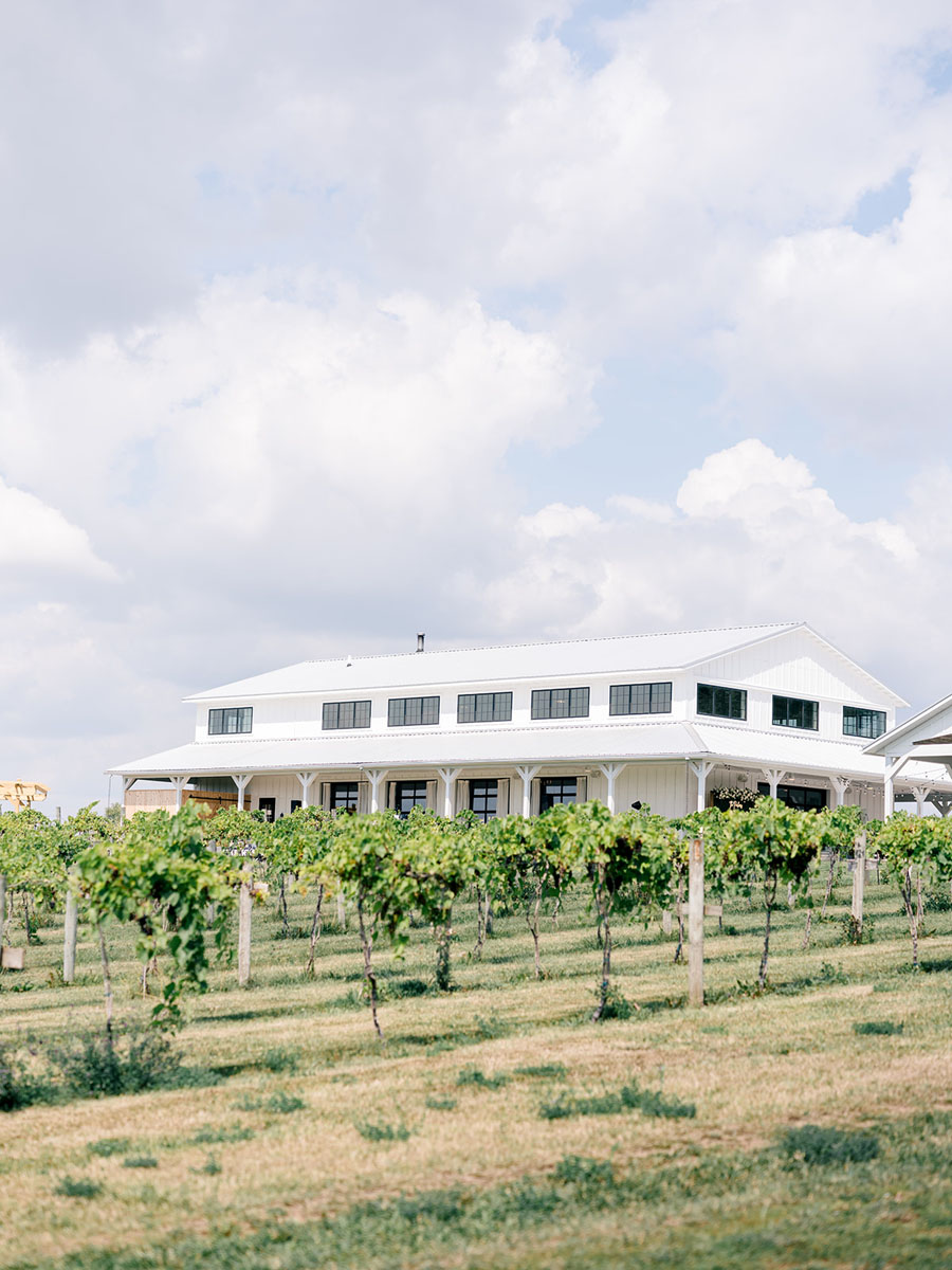 Walker Homestead vineyard & clouds