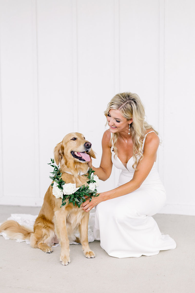 dog and bride walker homestead flower collar