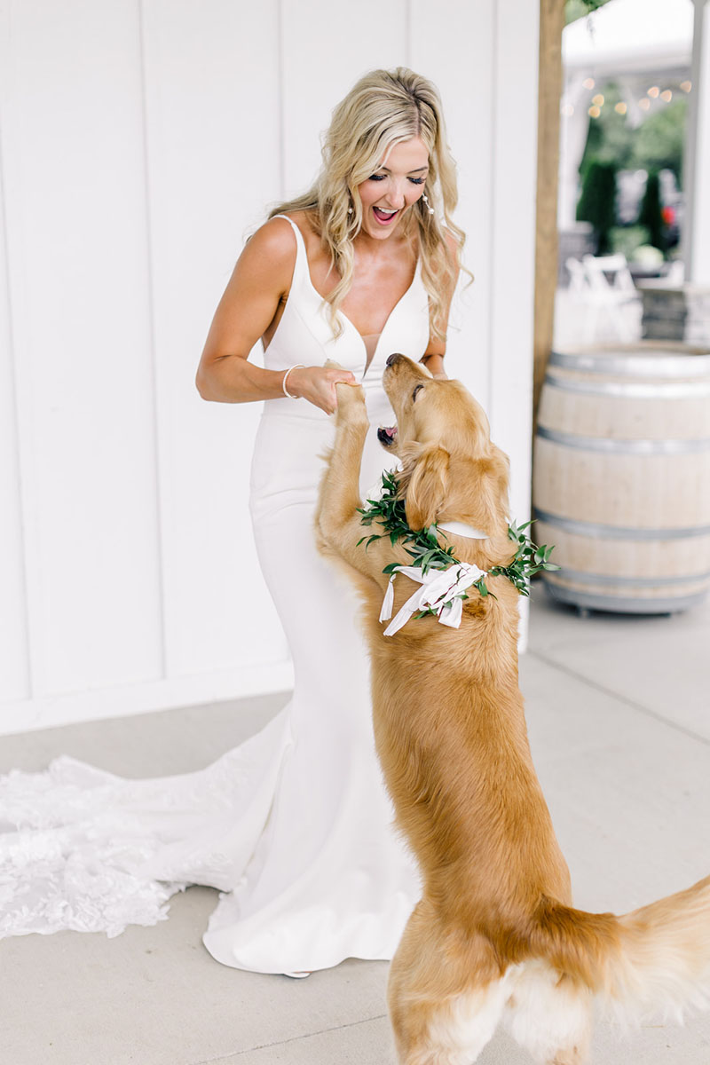 bride and her dog wedding walker homestead